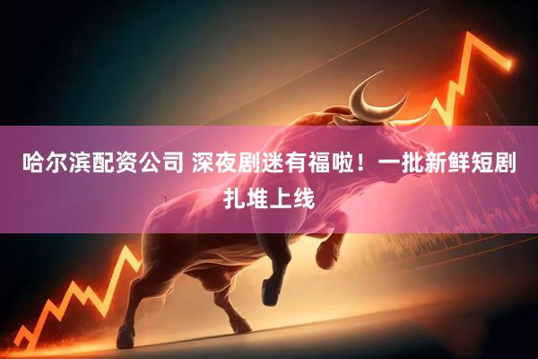 哈尔滨配资公司 深夜剧迷有福啦!一批新鲜短剧扎堆上线